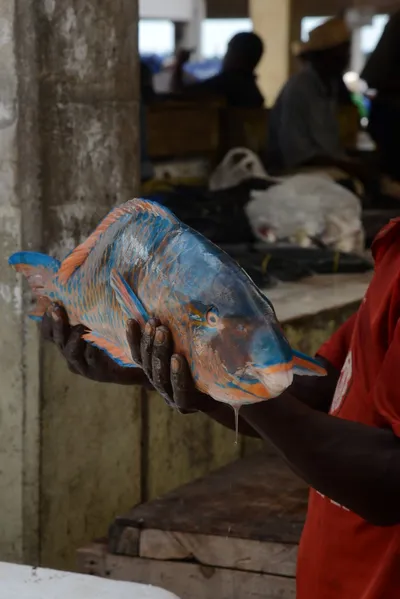 DSC_7599 (Large).JPG